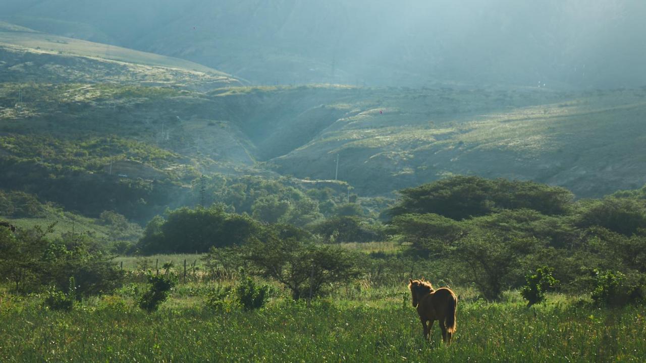 Tunas & Cabras Lodge Ibarra